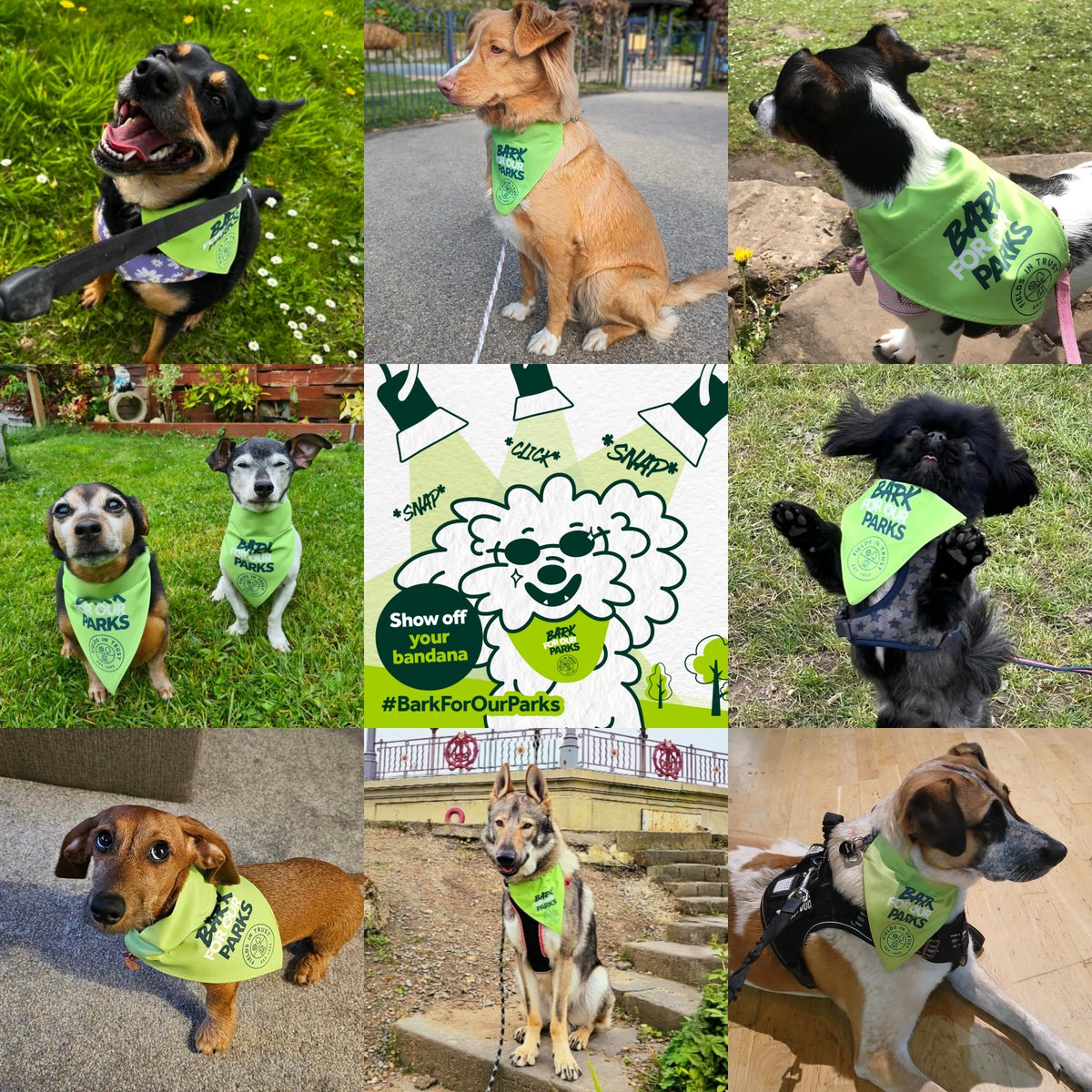 Green has never looked so good!✨ Up & down the country, dogs (& their humans) are walking 50km or 100km in our #BarkForOurParks challenge throughout May. Sign up at givp.nl/register/aHQw3… & join our pack to raise funds towards our vital work protecting parks & green spaces🌲