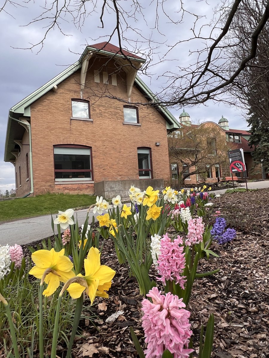 A few flowers for your Friday. Spring is such a time of hope. Thank you to the Campus Care Team. @McGillMacCampus @mcgillu