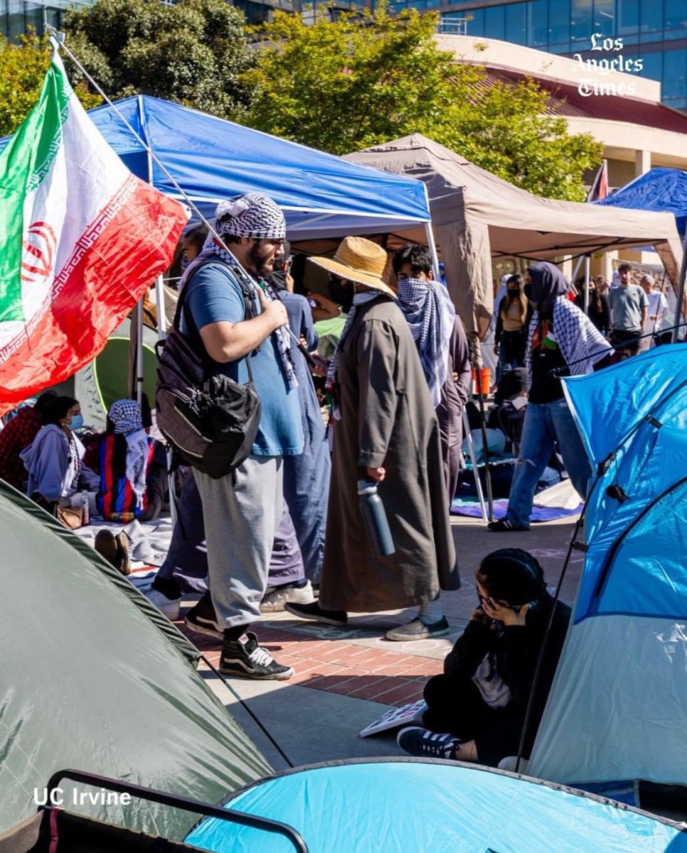 جمهوری درست برعکس طاغوتی یک چیز چروک و بو گندوست. وسط ثروتمندترین استان امریکا این بسیجی درست مثل علی افساری لاشیگری از ریختش میباره.کفش شل و ول،شلوار خواب، تیشرت برای نداشتن دکمه،صورت اصلاح نشده، شکم برآمده.پرچم که نماده درست انگار از کونش کشیده بیرون، چروکیده و بوی عنش بلنده