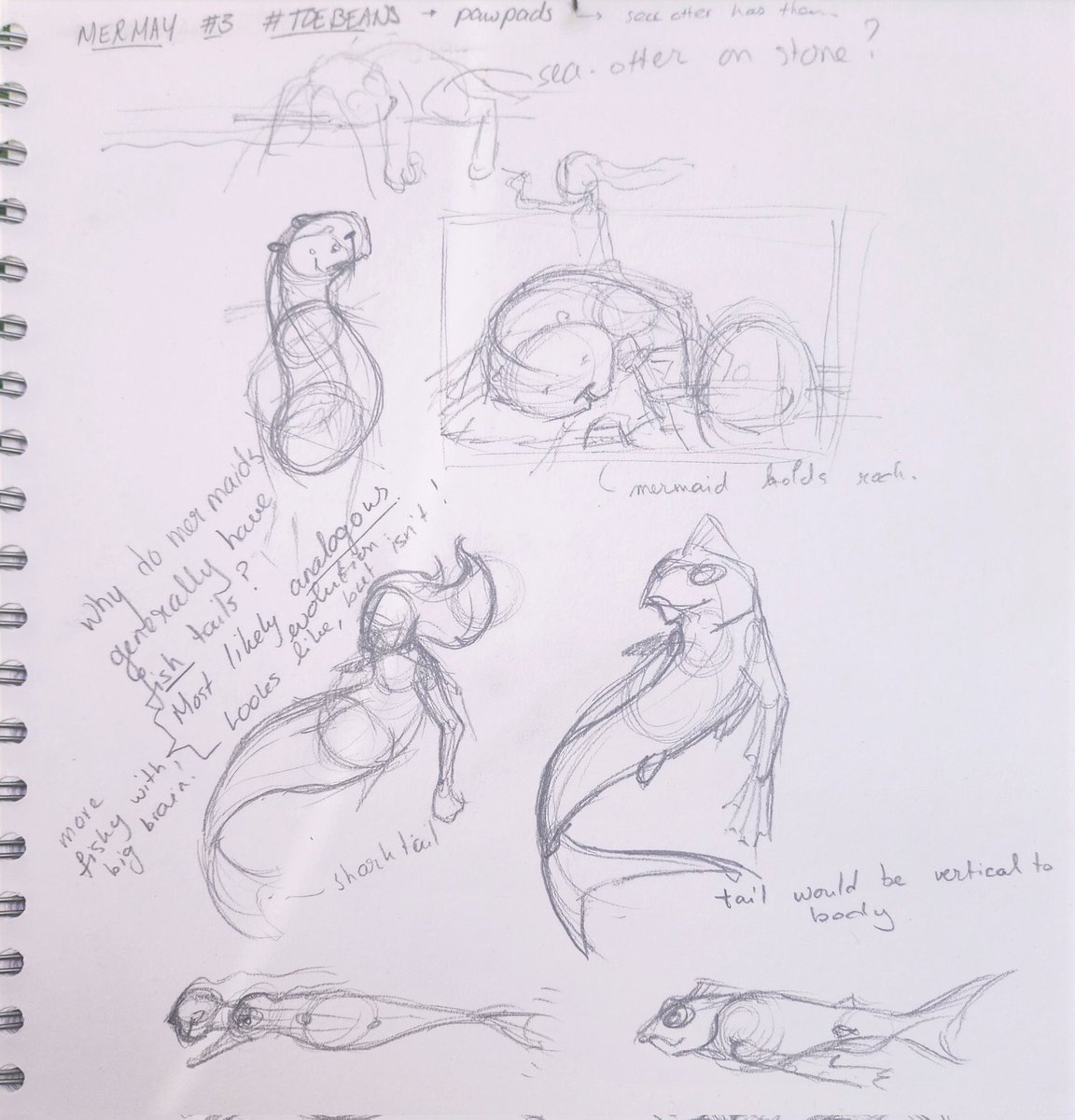 LycanNFT22's tweet photo. Picked up the #21draw #mermay2024 list started #sketching today's #toebeans challenge.
Ran into some mermaid-evolution ponderings, forgetting all about the mythical/fantastical; How would they have evolved biologically?
Next to that: yes, I ran into artistical imposter syndrom 🤣