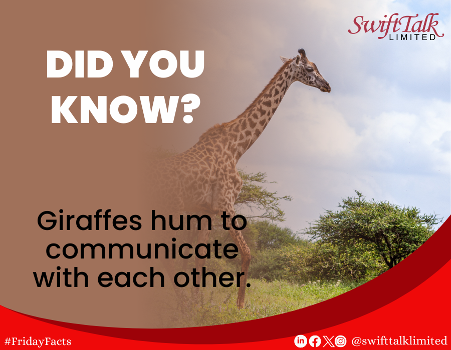 Did you Know?

Giraffes hum to communicate with each other. 

#InternetServiceProvider
#FridayFact