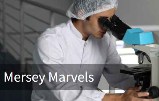 🍺@pintofscience Liverpool🍺 Tue 14th May 'Mersey Marvels' @LEAFonBoldSt Explore Liverpool as a leader in infectious diseases research and innovation, hosted by Prof Tom Solomon @RunningMadProf 🦠 Tickets🎟️> bit.ly/4bmJpPa @ThePandemicInst @LSTMnews @sotauol