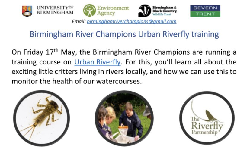 NEW TRAINING - join us for training on Urban Riverfly (@riverflies) on 17th May - learn about how these fascinating critters can indicate how healthy our rivers are! Please email for further info. @EnvAgencyMids @WTBBC #river #freshwater #ecology #citizenscience