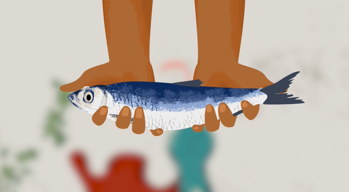A still from an animation I created telling the story of a local myth of how Lompa fish reached their river 🐟
#sustainablefishing #animator #scientificillustrator
