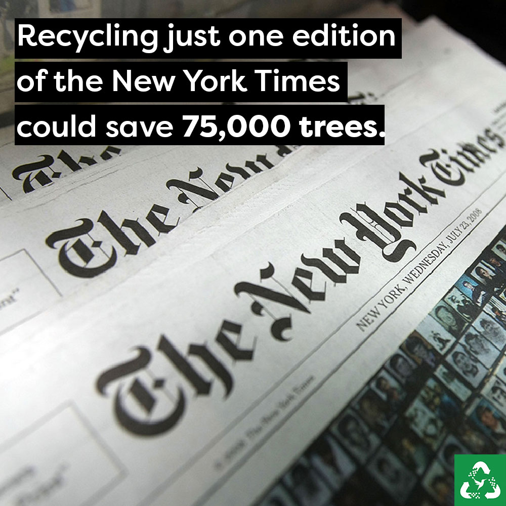 Recycling just one edition of the @NYTimes could save 75,000 trees. Let's remember the importance of preserving trees for a greener, healthier planet! 🌳🌍 

#SaveTheTrees #SustainableLiving #SaveThePlanet