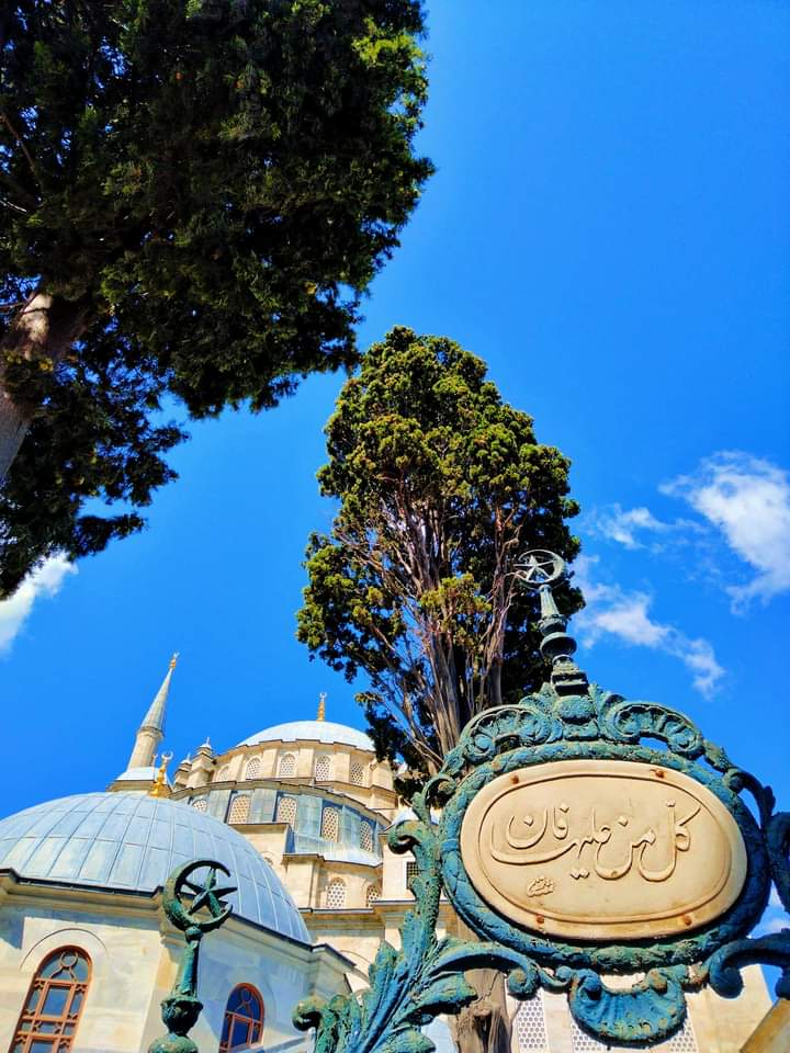 'Yeryüzünde bulunan her şey fânidir...'

[Rahman, 26.]

📷 Emir Sivri
 Fatih Camii Şerifi Türbesi ve Haziresi