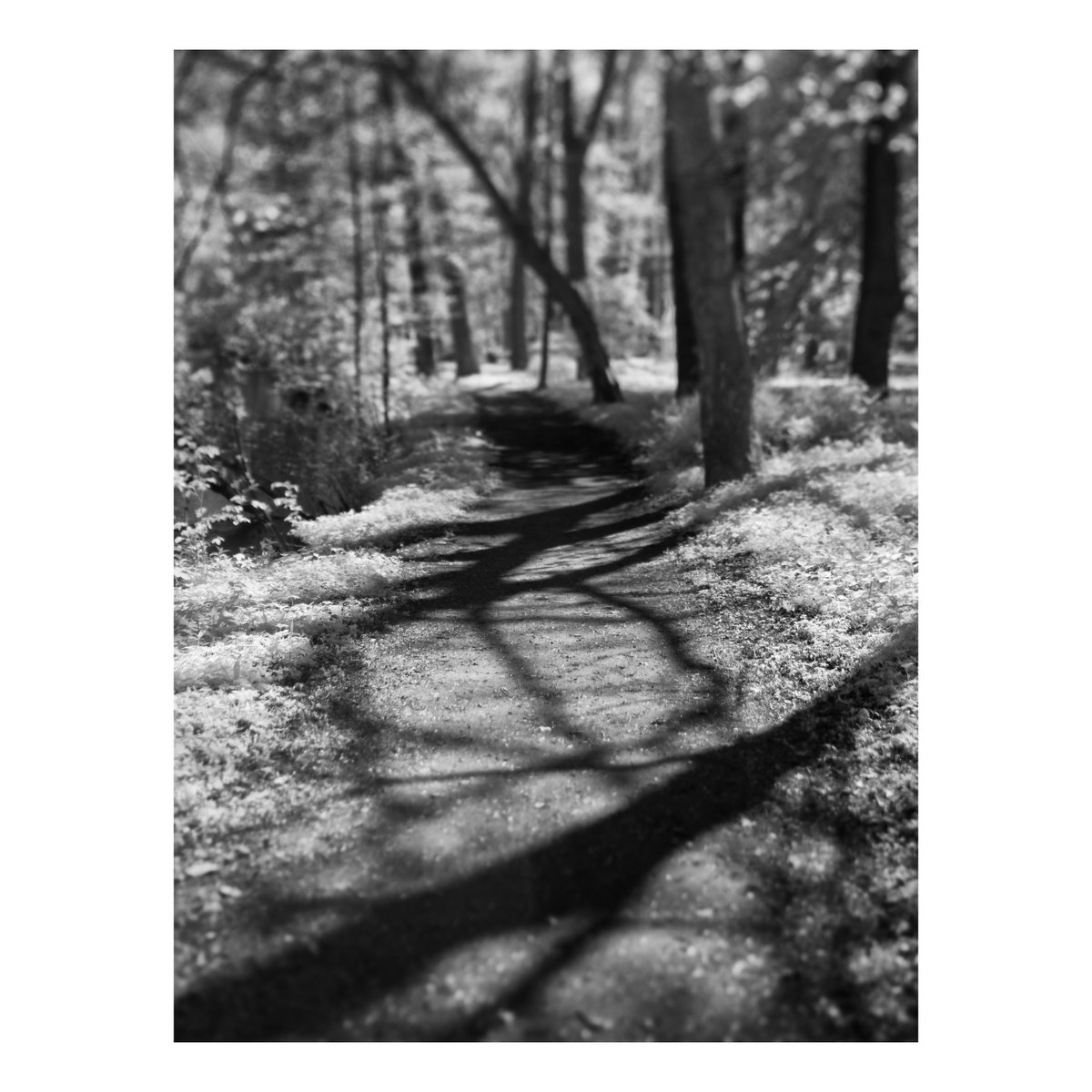 Stu McKenzie tweet media