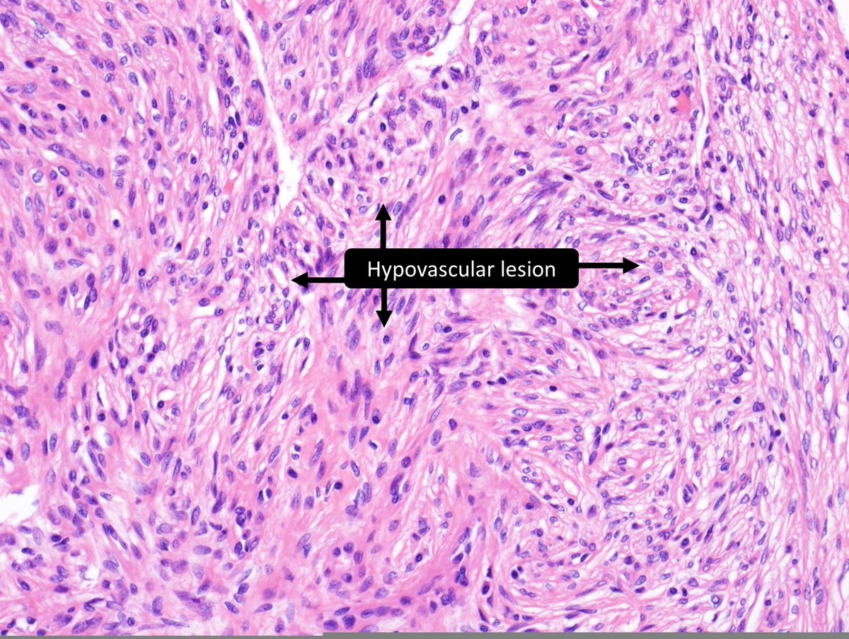 DrCycloPath tweet picture