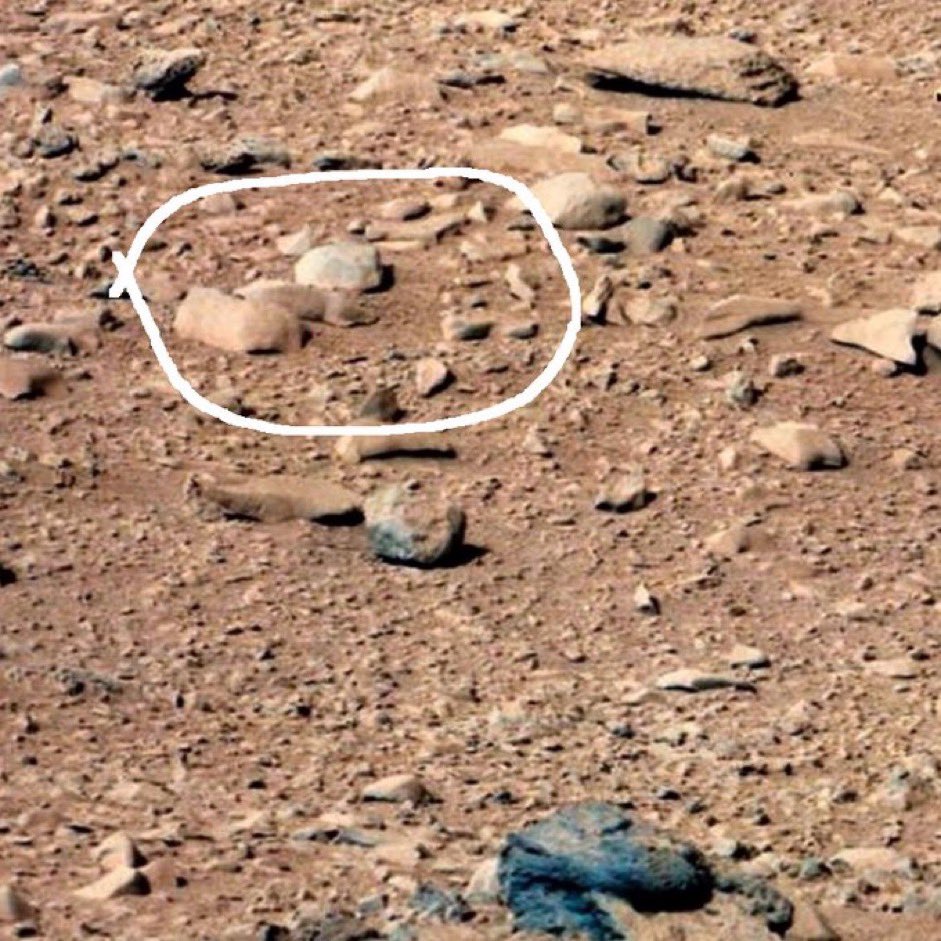 Remember when a lemming native to Devon Island, accidentally appeared on one of NASA's 'Mars' photos😆