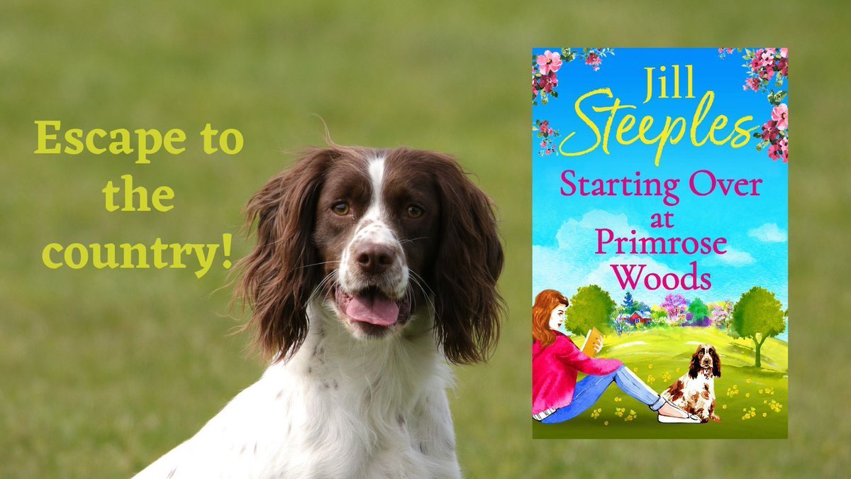 Are you looking for a new feel-good series to escape into? The first in the Primrose Woods series is just 99p on #Kobo and #free with #KindleUnlimited 
#FirstInSeries

🌲🌞🐶💋

‘A fabulous read!’ ⭐⭐⭐⭐⭐

#RomanceBooks

buff.ly/4a6Qjqq