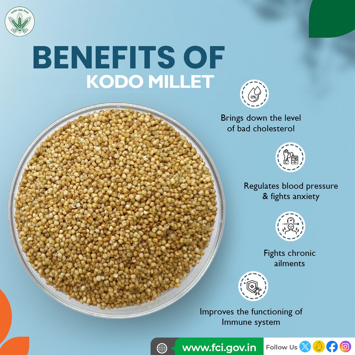 Kodo Millet is a nutritious ancient grain packed with benefits for a balanced diet and sustainable agriculture. Discover the goodness of Kodo Millet!