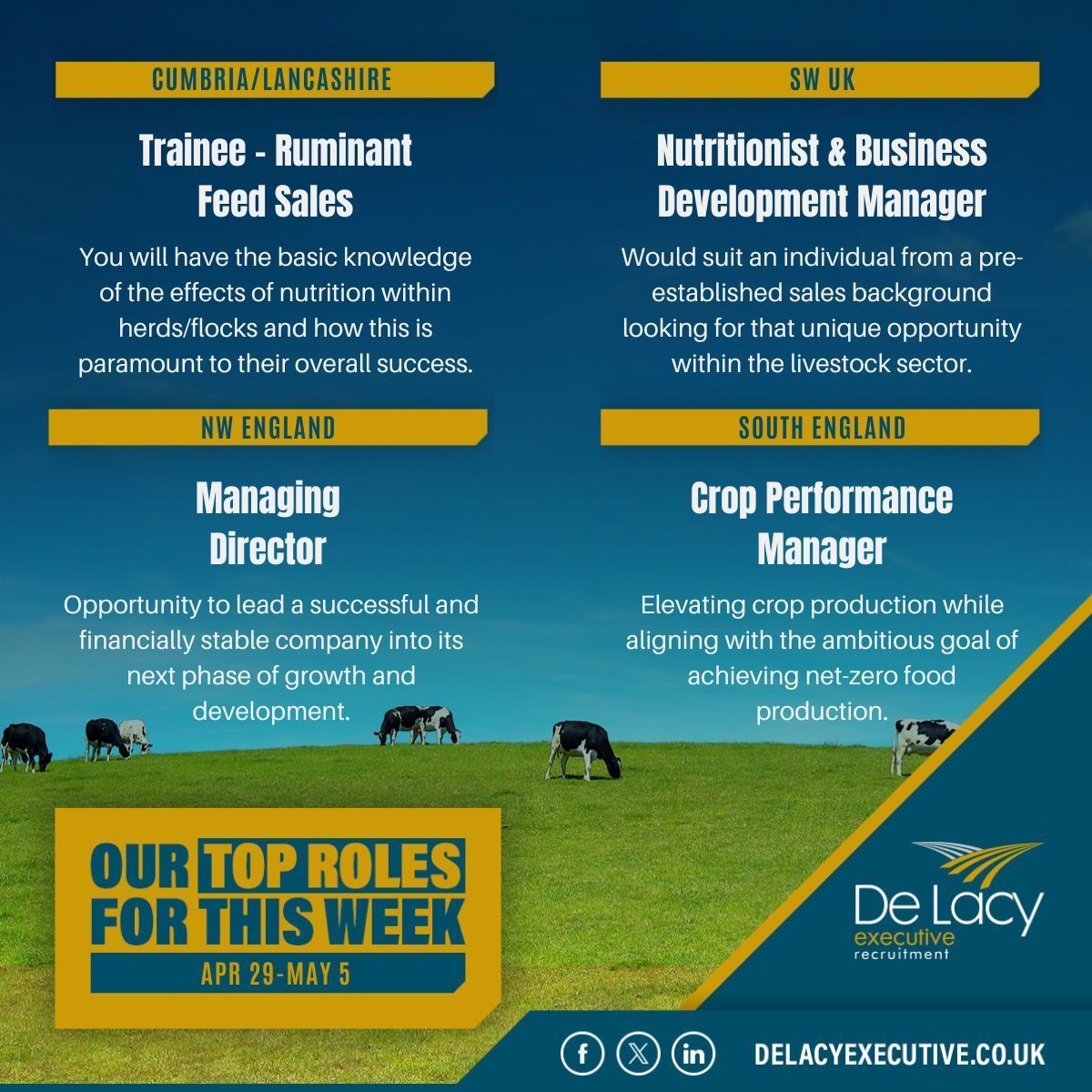 Top Roles for This Week: April 29 - May 5 ⬇️ 

There's plenty of opportunities available, from #Crop Performance Manager to a #ManagingDirector position, these are our Top Roles of the Week!

Explore these #careers & more: delacyexecutive.co.uk/job-seekers/jo… 

#UKAg #UKJobs #AgJobs