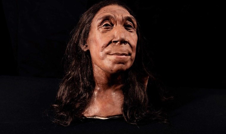 theanatoliapost.com/75-yil-once-ol… 
75 bin yıllık kafatası kalıntılarıyla Neandertal bir kadının yüzü yeniden oluşturuldu
#SecretsoftheNeanderthals