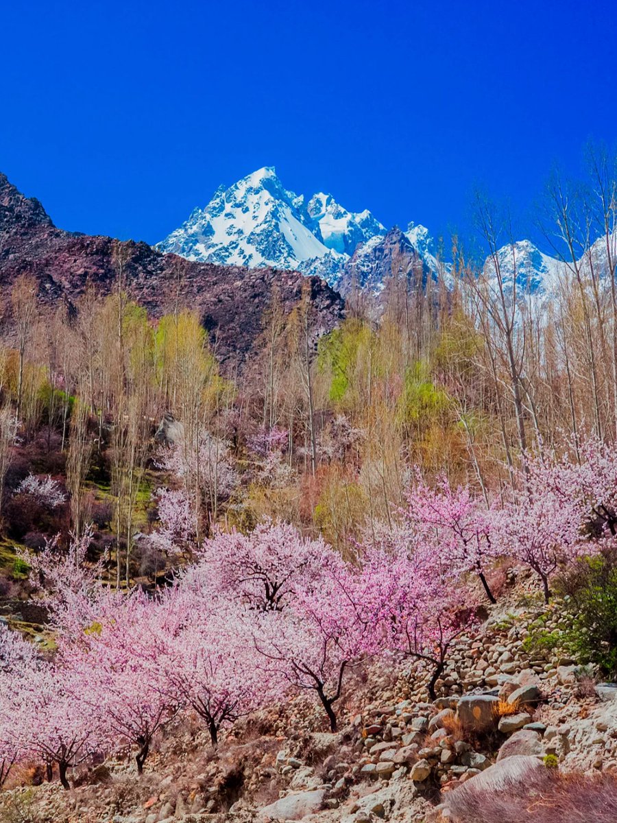 Hunza Valley, Pakistan 🇵🇰