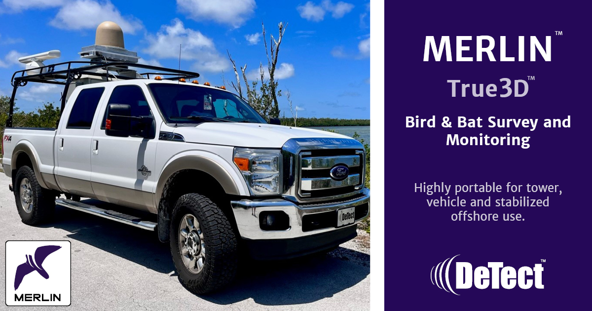 Highly portable, True3D, full 360° bird detection radar system for environmental survey, monitoring and research. 

Tech Spec > tinyurl.com/yna5dryp

#BirdMonitoring #BatMonitoring #BirdResearch #BMMS #WindEnergy #OffshoreWind #OnshoreWind #SustainableEnergy