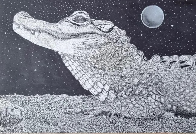 Never smile at a crocodile - even if he has been beautifuly drawn and shared in our online art gallery by Paul Christie.
If you're inspired by this reptilian artwork you could follow Liz Chaderton's demonstration to paint a green iguana in pen and wash - bit.ly/3C01xPd