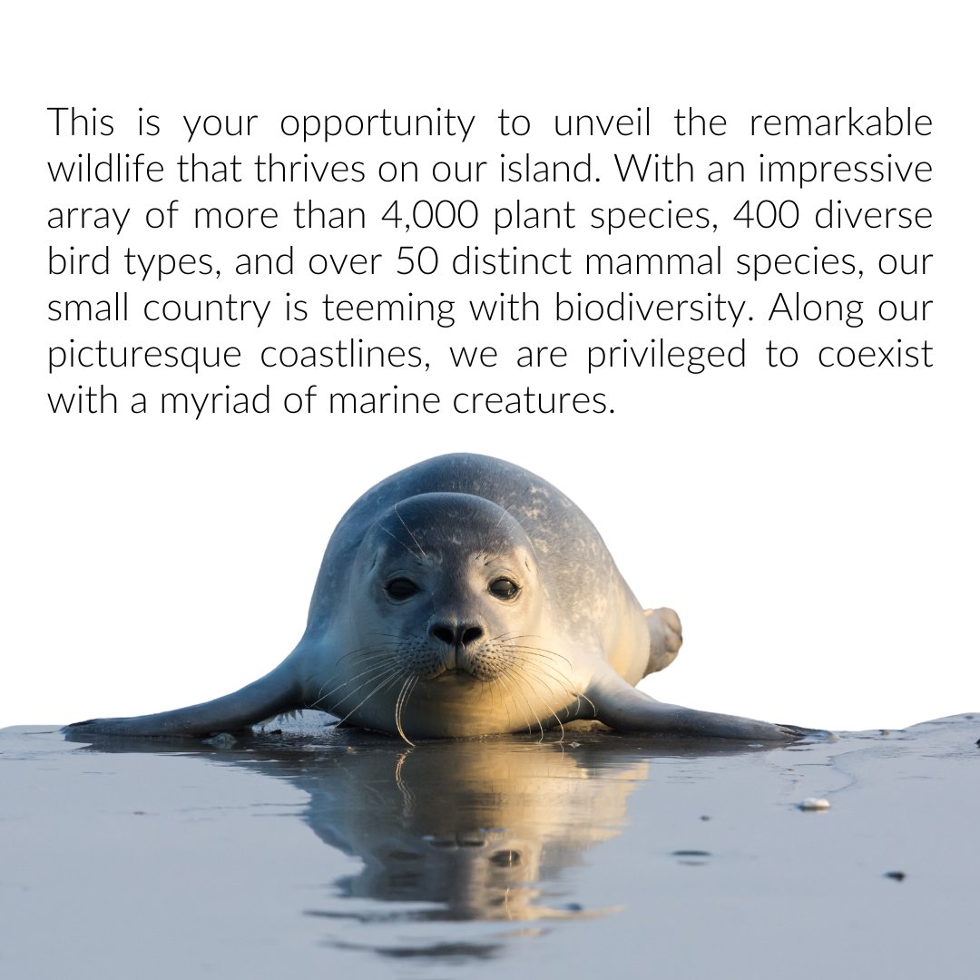 📸✨ #LoveYourCoast Photography Competition is now open! 🌊May is Biodiversity Month, so why not celebrate the beauty of our wildlife by entering the Wildlife and the Coast category? Our coastlines teem with life...capture it! cleancoasts.org/our-initiative…