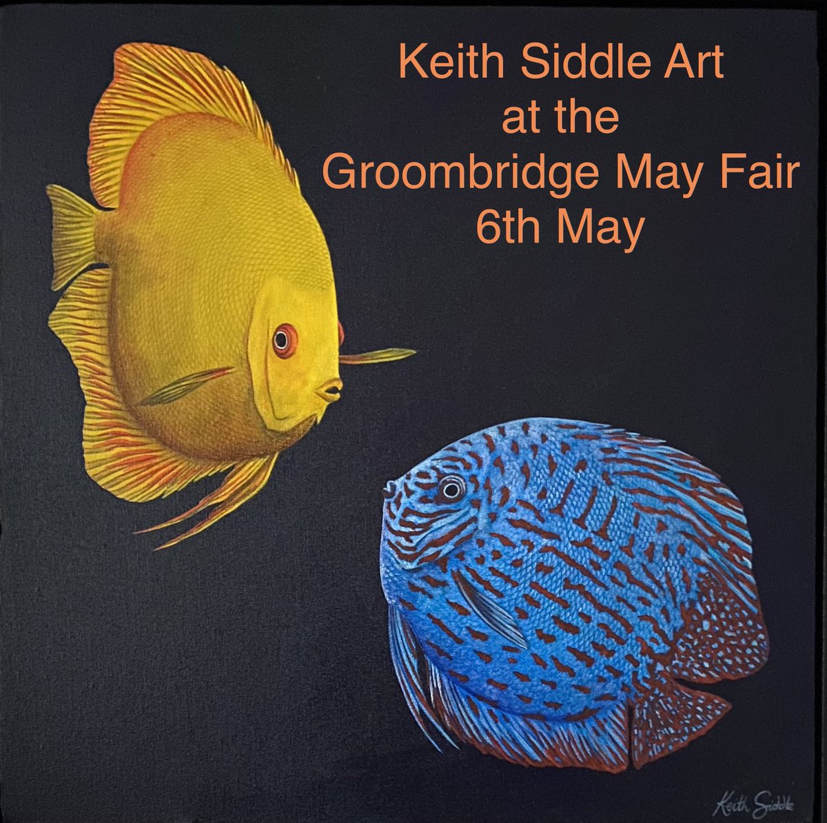 Pop along to the @groombridge May Day Fair on Monday 6th May. I will have a gazebo full of my art and books. #discus #discusfish #discuspaintings #groombridge #seopenstudios #langtongreen #tunbridgewells
