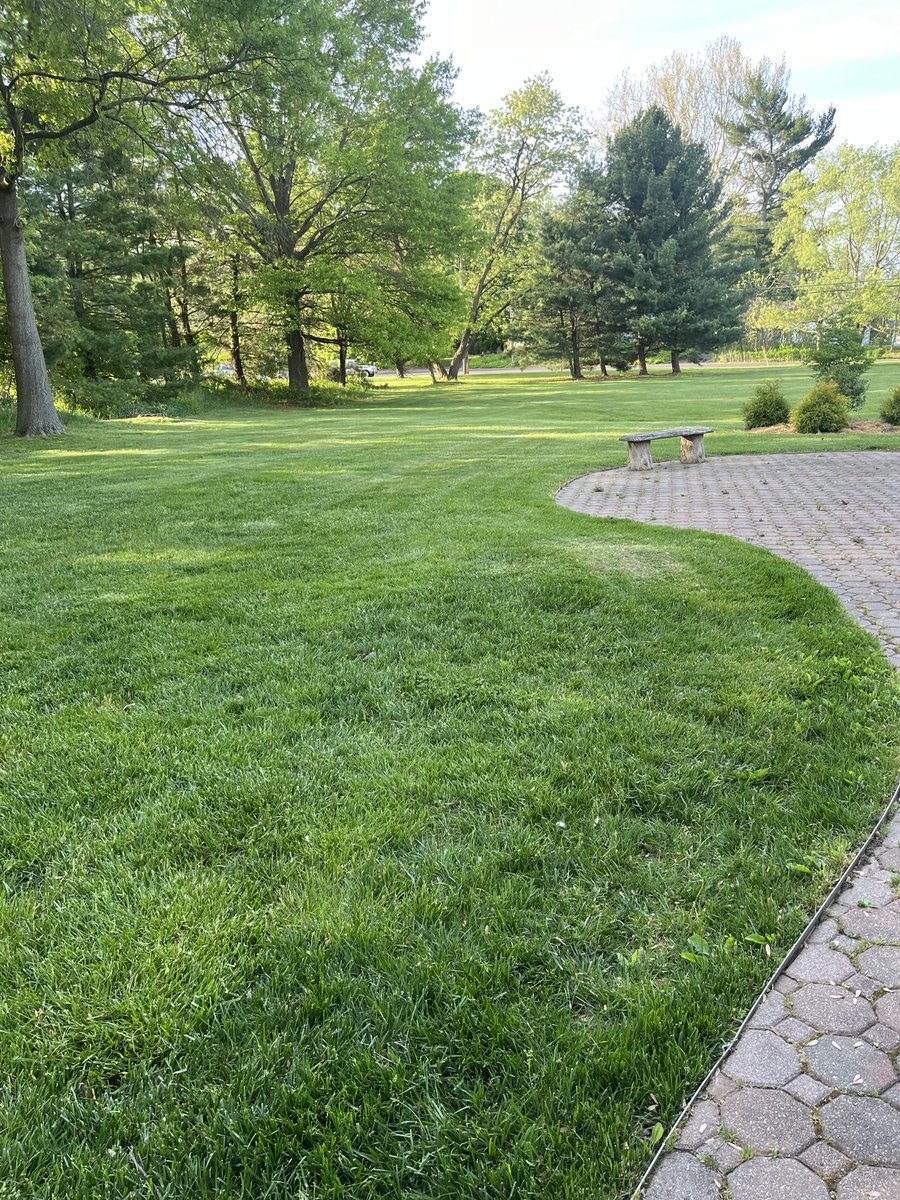 Good morning friends☕️🥯🌷It’s a refreshing 55° in NJ☀️ I think I’ll spread the wildflower seeds today. It’s a beautiful day in the neighborhood