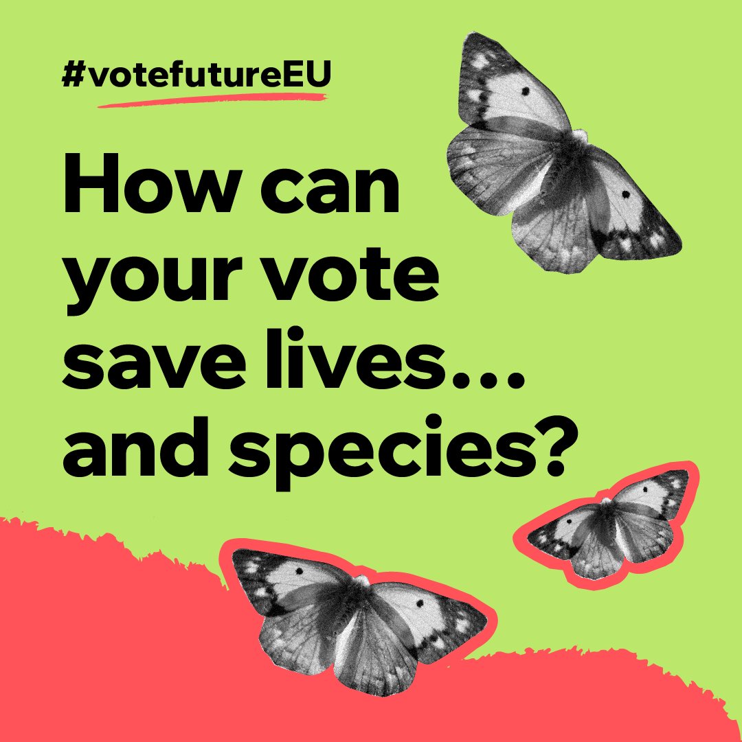 The consequences of our ecological overshoot are severe: 🌲 Global deforestation 🪲 Biodiversity loss 🐟 Collapsing fish stocks 🚰 Water scarcity 🌱 Soil erosion 🏭 Air pollution #VoteFutureEU #EUElection #RestoreNature #VoteForNature
