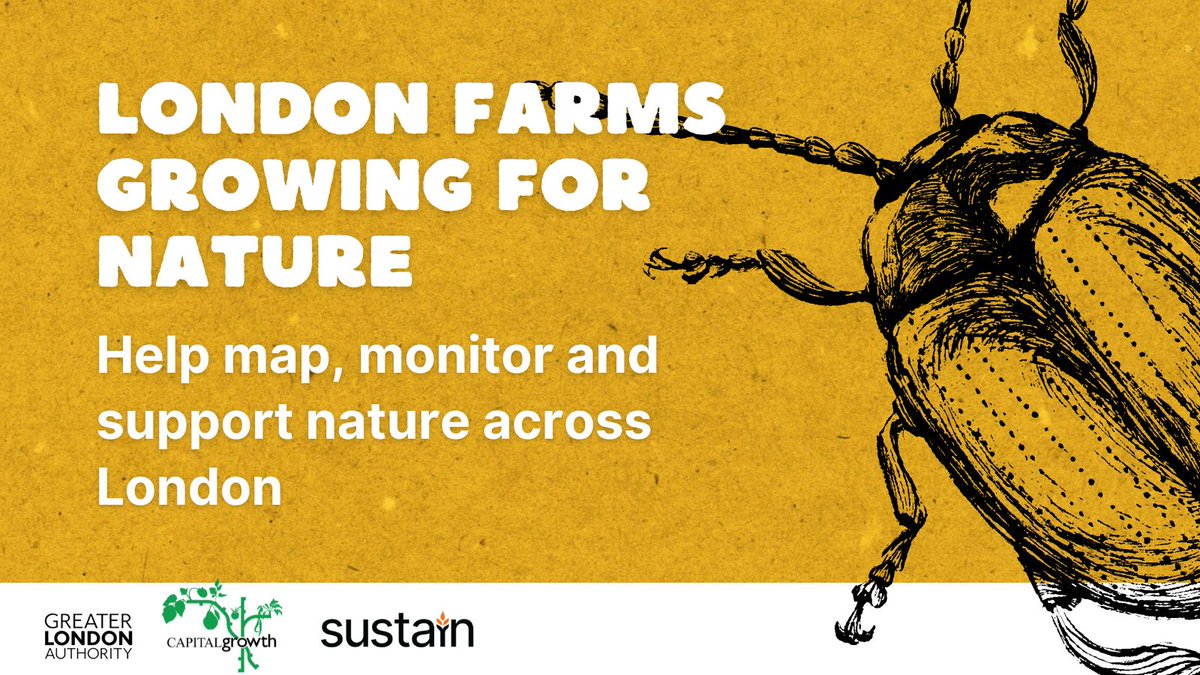 Farming in London? Already supporting wildlife or want to do more? Take this 5min survey to win £400, and help our friends @Capital_Growth map biodiversity in Greater London & understand what support farmers need capitalgrowth.org/news/apr24-bio…