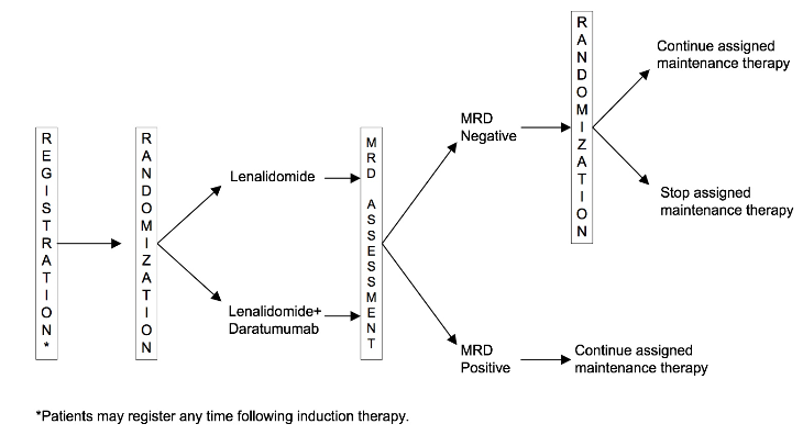 . @SWOG S1803 Ph3 Len +/- Daratumumab/rhuph20 as Post-ASCT Maintenance in Myeloma Using Minimal Residual Disease (#mmMRD) to direct Therapy Duration (DRAMMATIC) - @DoctorAKrishnan Hoering, @Phari Sexton, @Myeloma_Doc #ASH20 Abst 1515 ow.ly/U9xg50FYWgt #NCT04071457 #mmsm