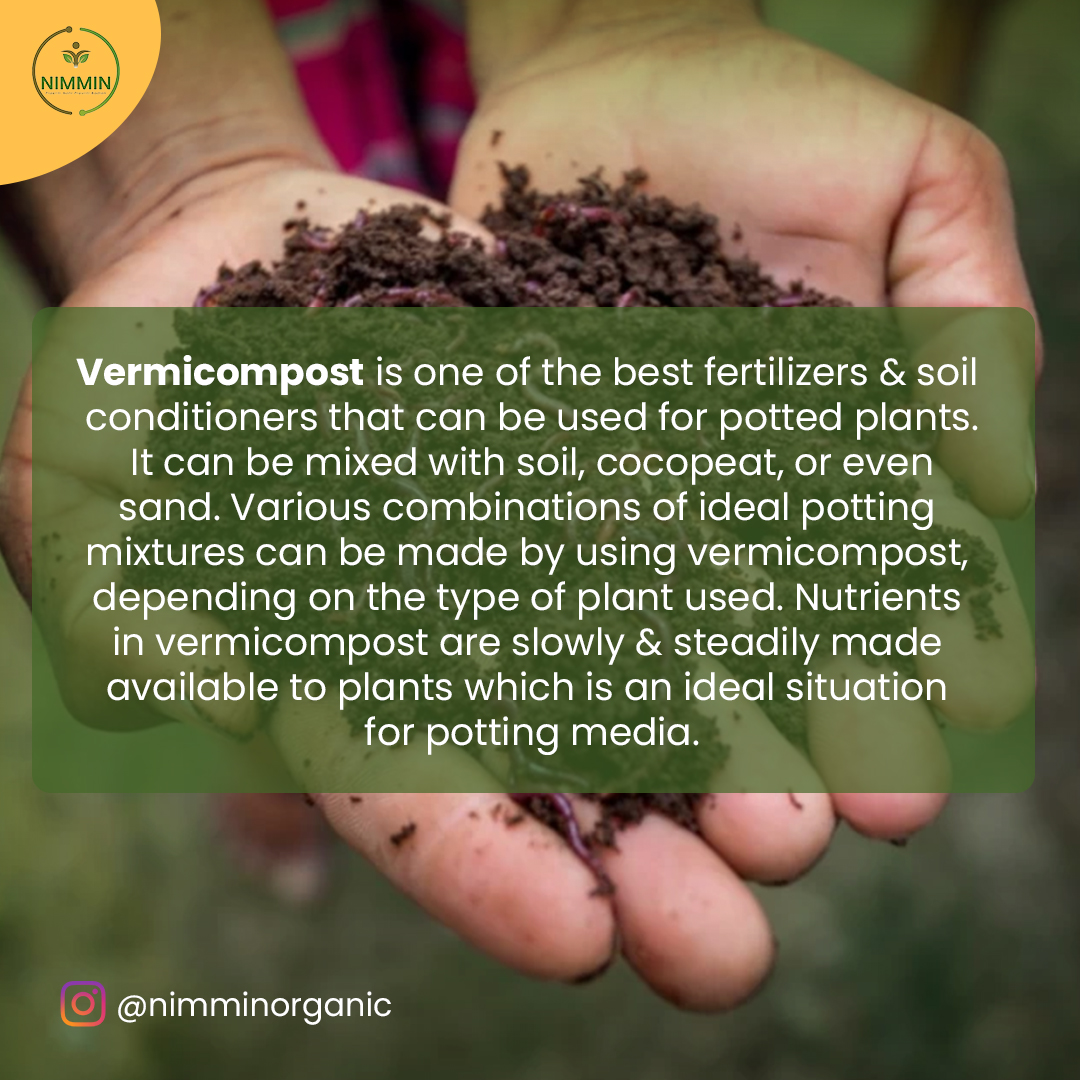 Looking for ways to boost your potted plant's health? Vermicompost might be the answer! Head over to Nimmin Organic's page to learn more.  
.
.
.
#GardeningTips #UrbanGardening #Sustainability #NimminOrganic #FAQs #PlantCare #HousePlants #IndoorGardening