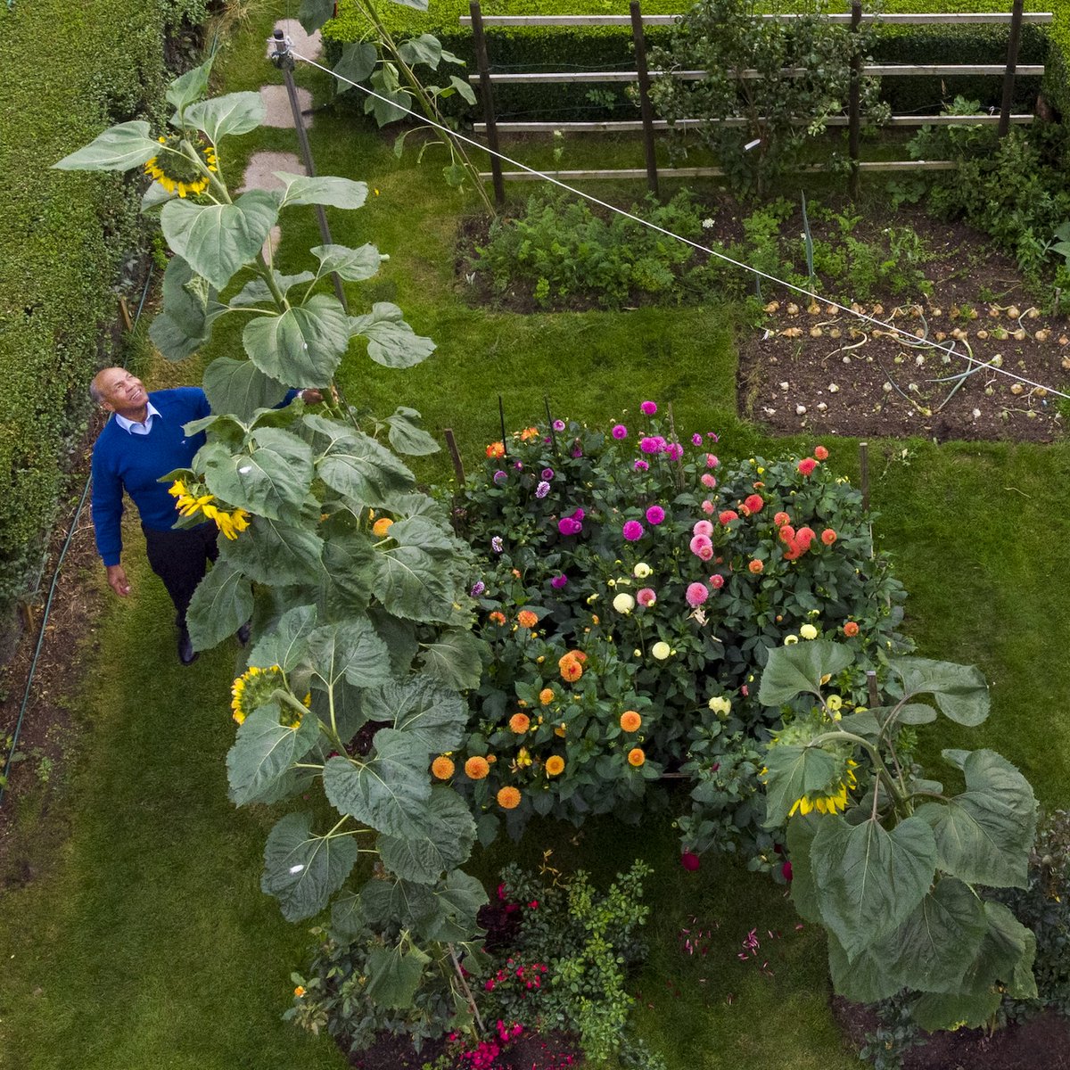 Check out our newly updated film page: local-colour.co.uk/Terrysgidad