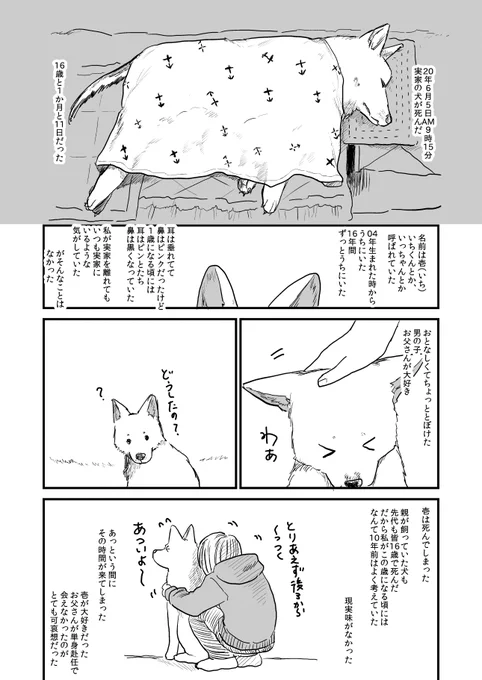 2020年実家の犬を亡くした時のエッセイ漫画です。
前日譚や後日談などが掲載されている同人誌をキンドル他通販サイトで販売中です。
https://t.co/pdVcmG6Y05
サンプル

#漫画が読めるハッシュタグ 