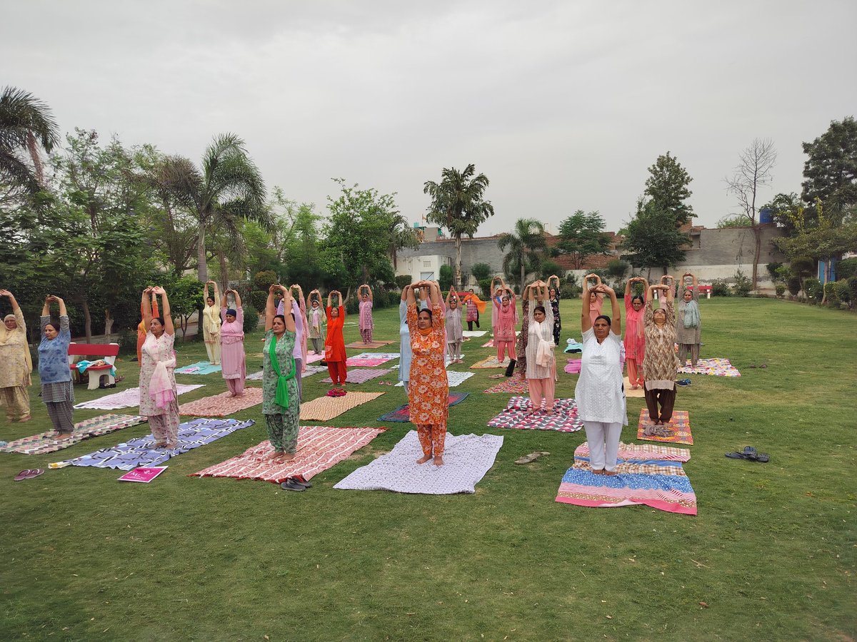 CMDI Yogshala
@Free Yoga classes
#Healthy Tips
#Yogainspiration
#Yoga