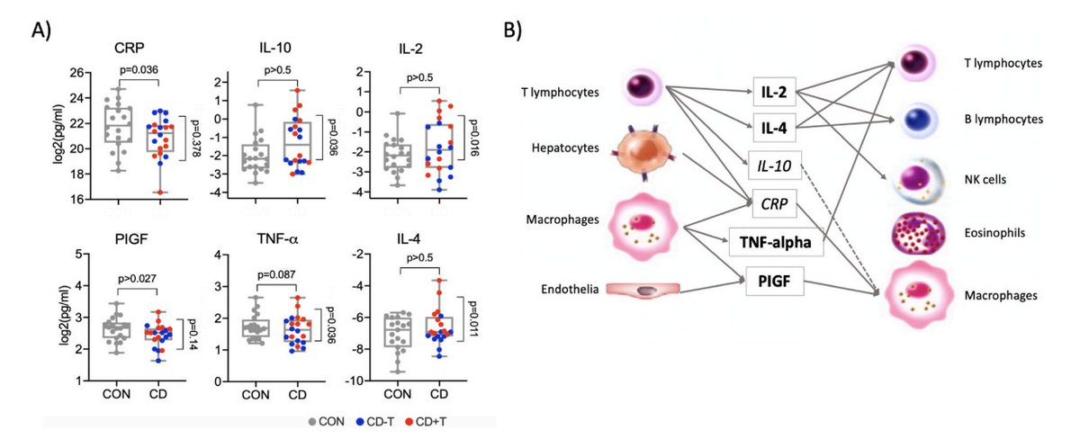 Are dystonias immunological disorders? New study by Scorr, Jinnah and colleagues @ParkinsonismD w/ editorial @JankovicJoseph explores this possibility. Data was from cervical dystonia. Key Points: - The study looked at cervical dystonia. - Serum immunoassays comparing cervival