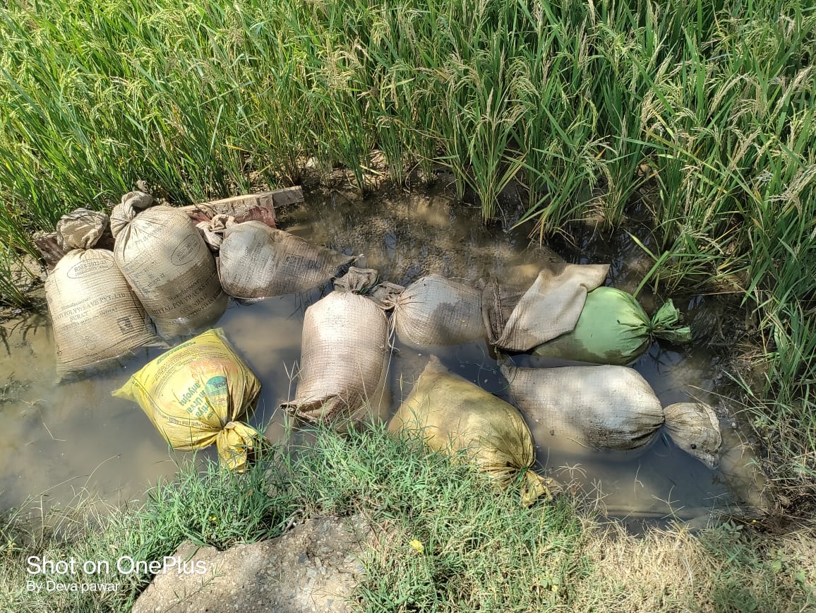 960 किलों महुआ लाहन एवं 20 लीटर अवैध कच्‍ची शराब हुई जब्‍त
मदिरा का अवैध रुप से निर्माण, संग्रहण एवं विक्रय कर रहे लोगों के विरुद्ध कार्यवाही निरंतर जारी है। जिसके अंतर्गत गुरुवार को आबकारी वृत बालाघाट के ग्राम बोरीटोला के जंगल मे नाला किनारे अलग अलग स्थानों से-