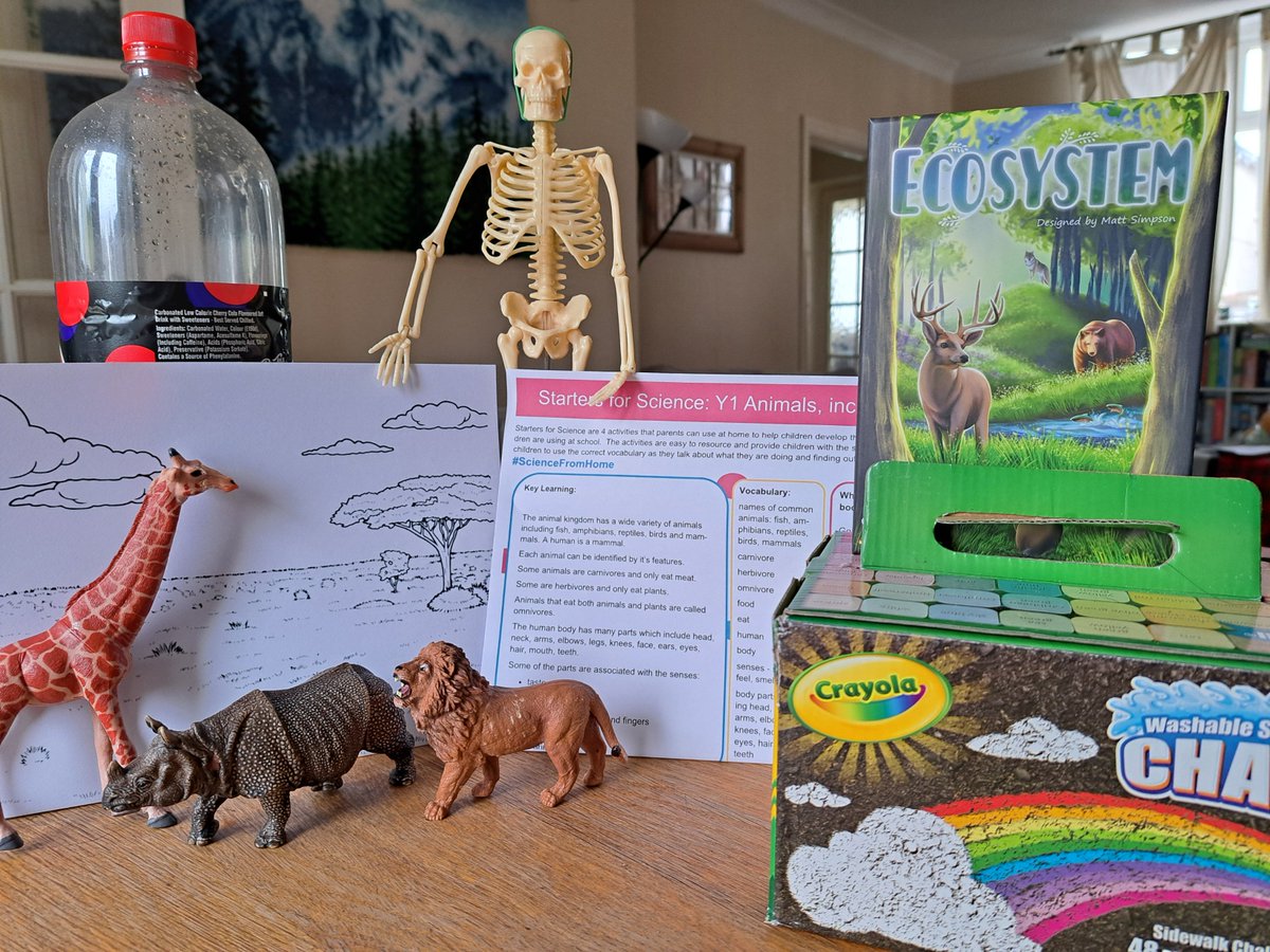 This week's #Science Saturday focuses on Animals, including Humans #KS1 

We'll discuss
-types of animals
-what animals eat
-habitats animals live in
-human senses
-human body parts

#ScienceFromHome @STEMLearningUK 
@AngliaRuskin @GotGeniusGames #HomeEducation #STEM #STEAM