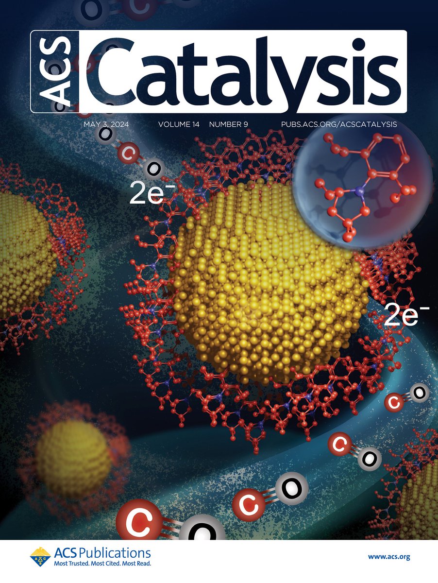 Super excited to share our recent work on CAAC stabilized AuNPs for electrocatalytic CO2 reduction, has been selected as front cover @ACSCatalysis. Many thanks for featuring our article. @ShabanaKhan01 @pramodpillai81 @DeyIACS @ACS4Authors #MyACSCover