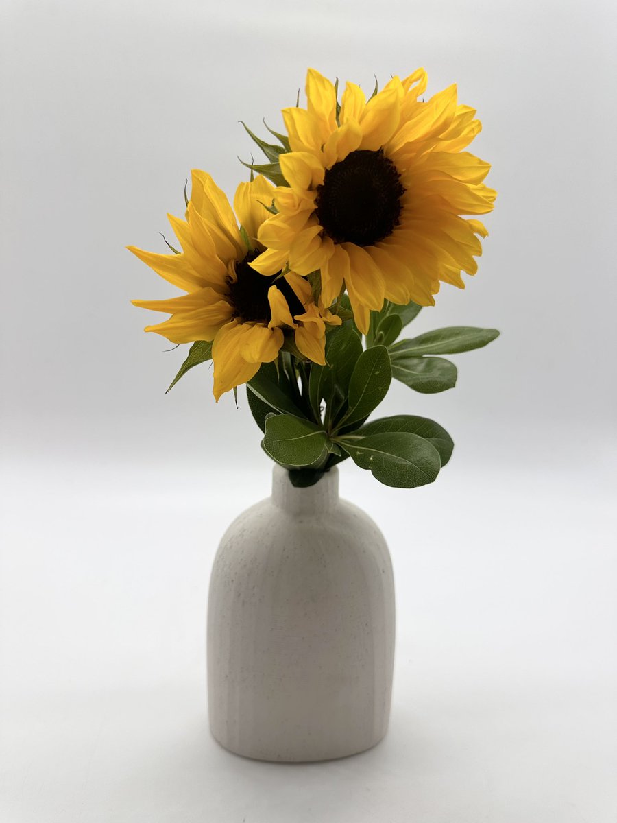 #floralfriday 

🌻 This sunflower arrangement is petal-perfect! 🌻

#floralfriday #greeneryproductions #eventfloral #sunflower #inseasonflowers #inseasonfloral #freshfloral #freshcutfloral #floraldesign #floral #floralarrangement #centralflfloral #orlandoflfloral #centralfl