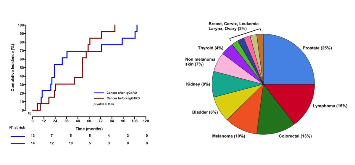 alb_giraldo's tweet image. Patients with #IgG4-related disease (IgG4-RD) have a risk to develop #malignancy 2.4 higher than the general population. #Cancer can appear before or after the diagnosis, and both solid and hematologic malignancies are more frequently observed in pancreato-biliary IgG4-RD.