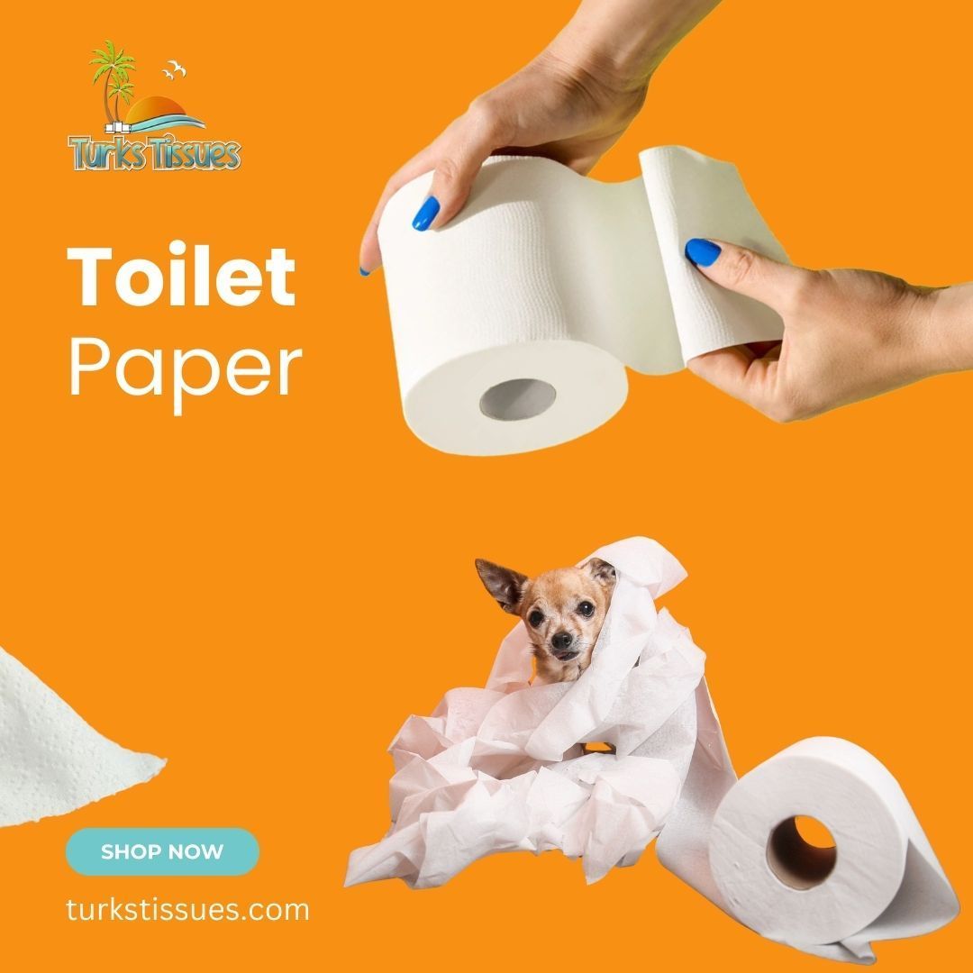 Wrap yourself in luxury while making a sustainable choice with Turks Tissue. Our plush toilet paper is not only gentle on your skin but also on the planet.#TurksTissue #SustainableSoftness #LuxuryTP #GreenLiving #EcoFriendlyChoices #SustainableBathroom #GoGreen #ReduceWaste
