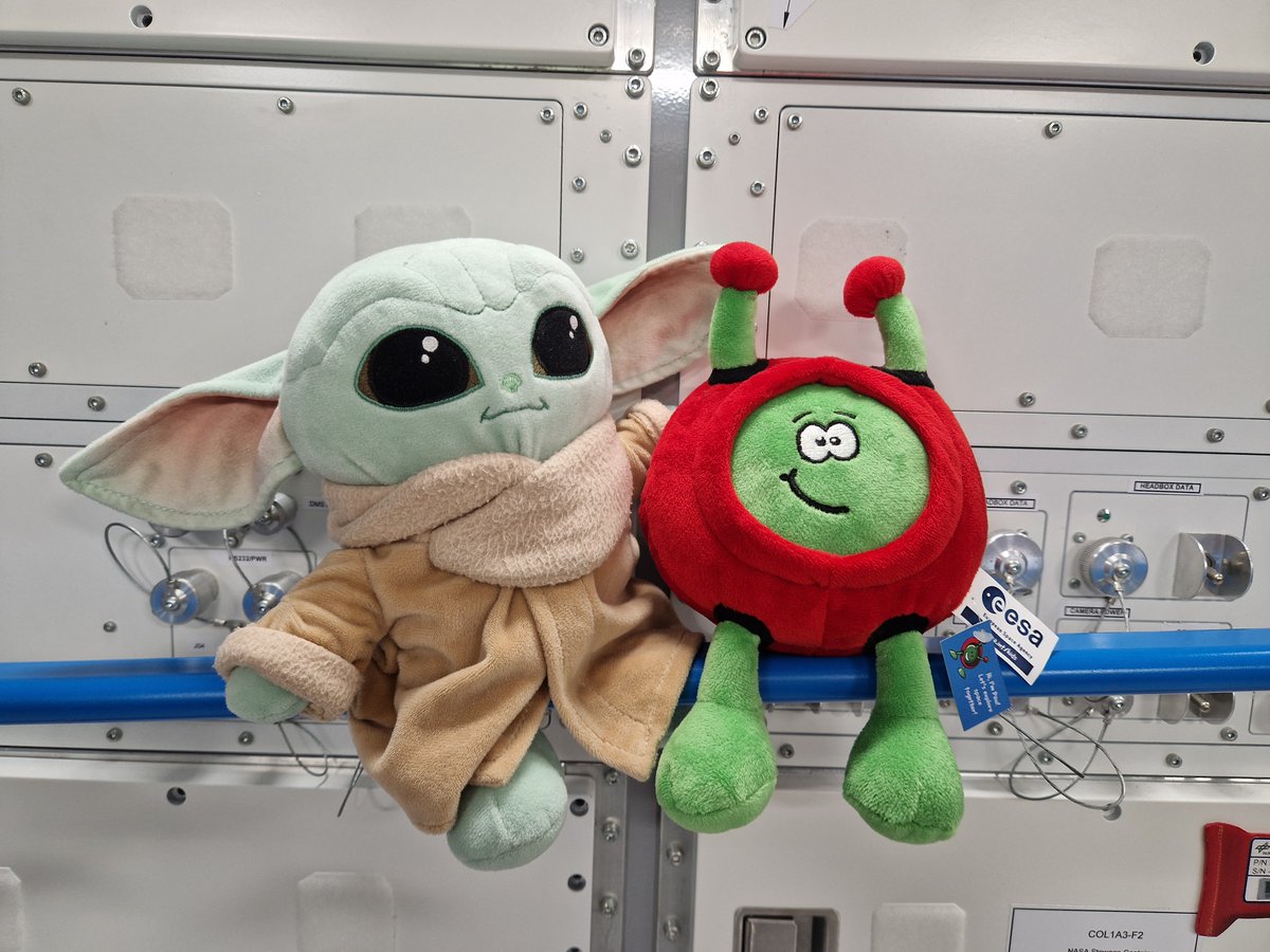 Catching up with a friend of mine today 😎 Happy #StarWarsDay all! 🚀🥳 #maythe4thbewithyou © Baby Yoda Character by TM Lucasfilm Ltd., plush toy by Simba Toys GmbH & Co. KG
