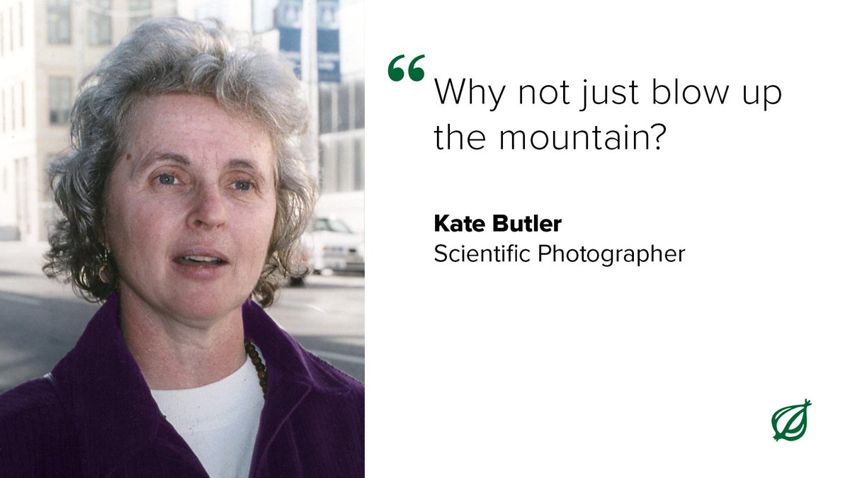 Japanese Town To Build Screen Blocking Tourists’ View Of Mount Fuji bit.ly/3y3AMuj #WhatDoYouThink?