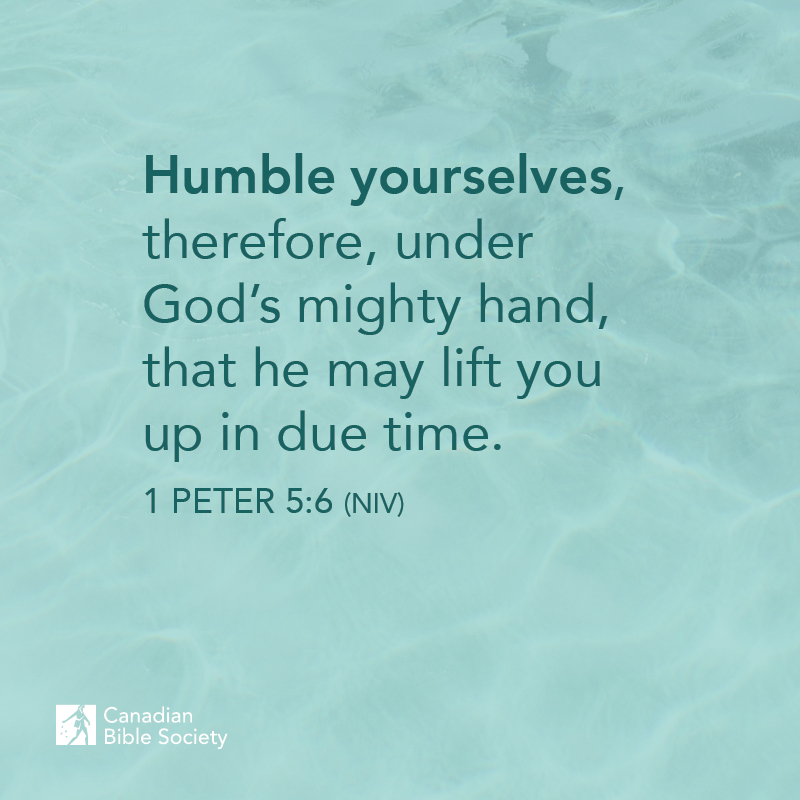 “Humble yourselves, therefore, under God’s mighty hand, that he may lift you up in due time.”

1 PETER 5:6 (NIV)

#bibleversedaily #bibleverses #bibleverseoftheday #versesfromthebible #biblestudy_verses #bibledailyverse #dailybiblereading #mydailybibleverse