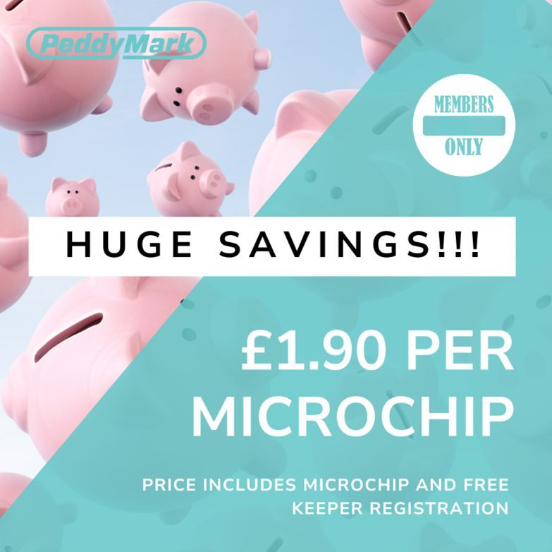 New exclusive ADCH Member offer from @PeddyMark 💰 SAVE MONEY ON MICROCHIPS! At just £1.90 per Microchip & Registration, you could save hundreds of pounds EVERY month*💸 Catch us at the ADCH Conference 14/15th May or log in to your ADCH Member account for more info! #ADCH2024
