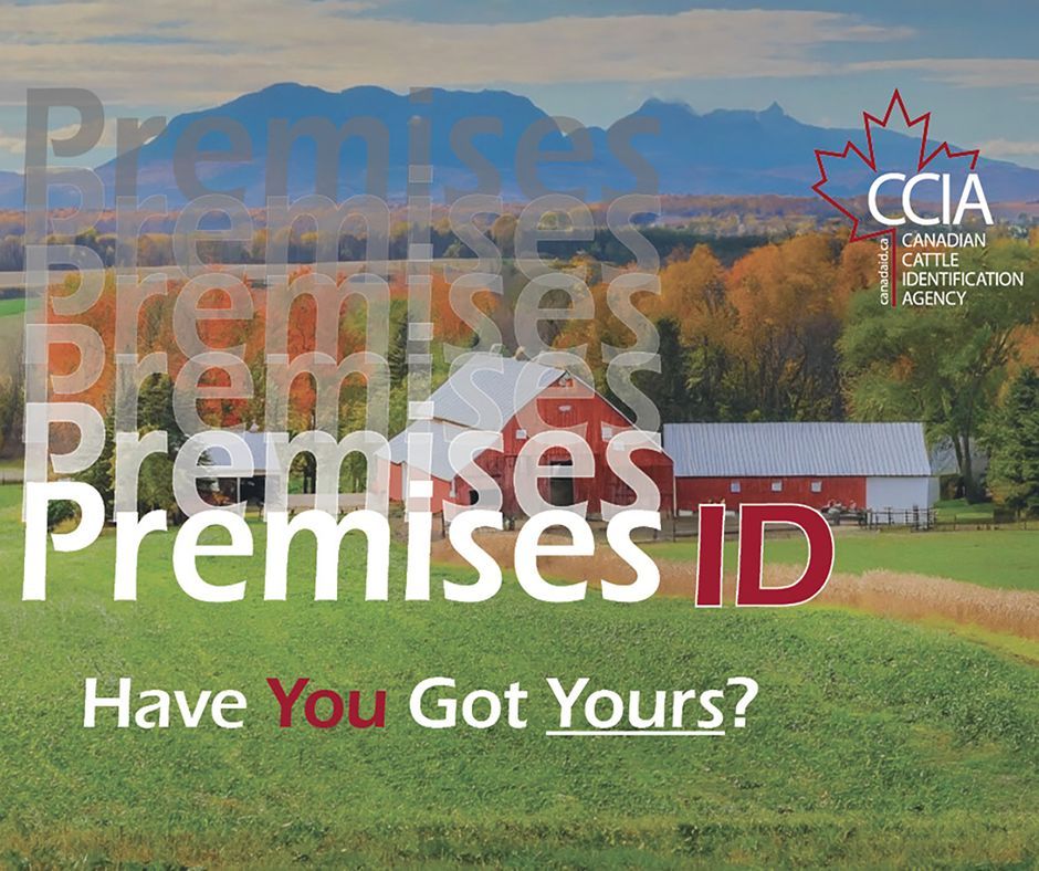 Have you updated your CLTS account with your Premises ID PID number? Getting your PID is FREE, and details on how to request it from your provincial government can be found here: buff.ly/3tWzG1y #CCIA #traceability