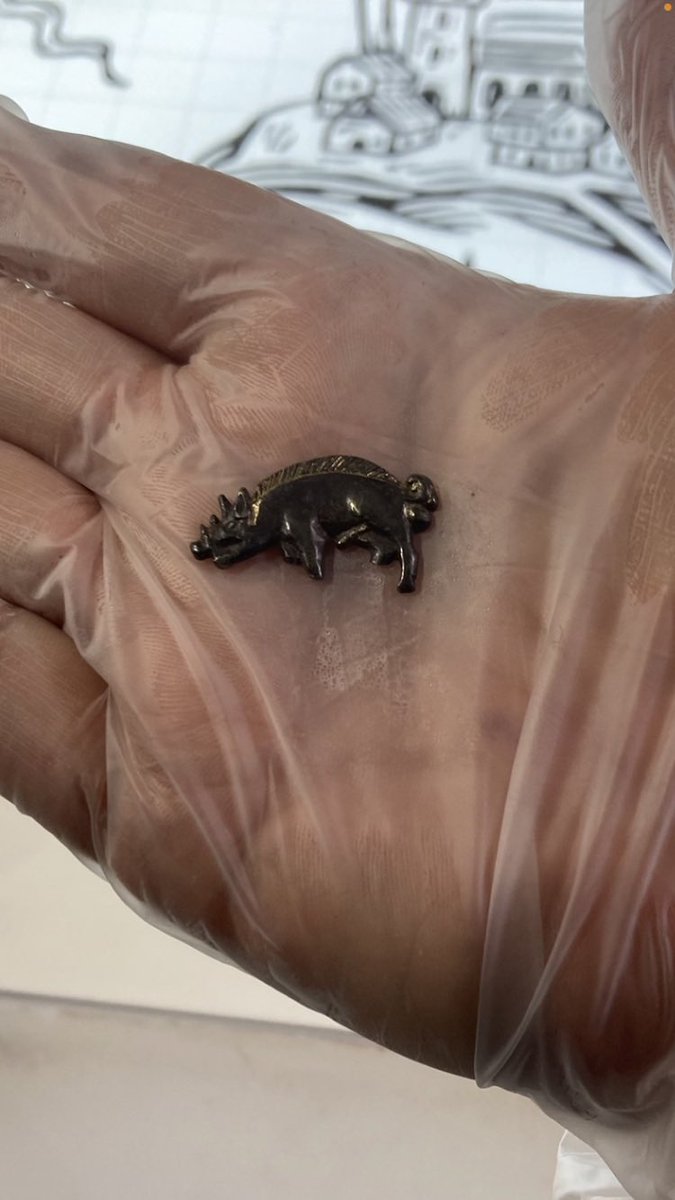 Filming a doc for SKY about the game changing impact of the battle of Bosworth where King Richard III was killed. The sliding doors moment in history that shaped the soul of this country. Here’s the 540 year old “Boar Badge” of Richard found at the battle site. Incredible.
