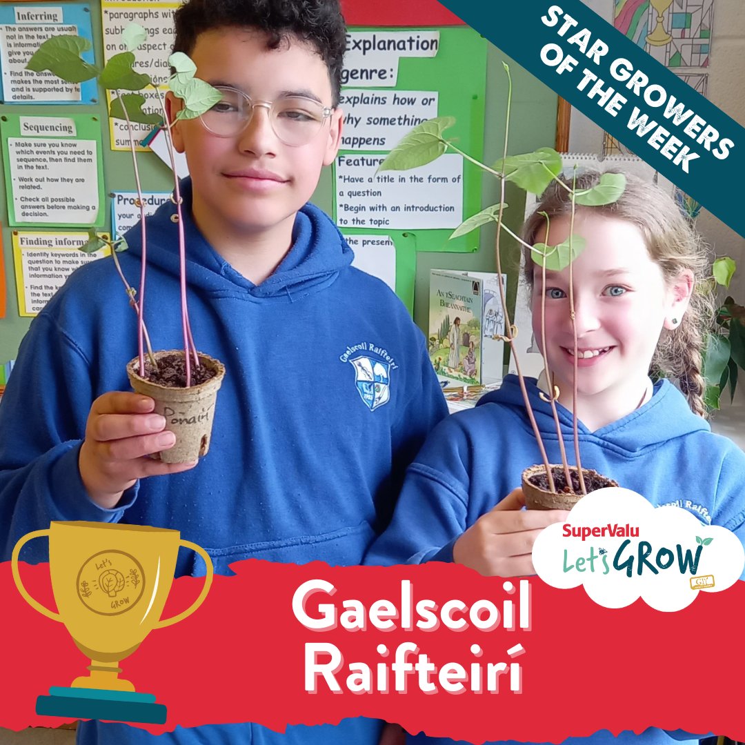 🥁Drumroll please for this week's STAR GROWERS... congratulations to Gaelscoil Raifteirí, who have won a €50 SuperValu voucher! 🎉👏 Keep those updates coming 🌱 Don't forget to tag us and @SuperValuIRL and use #SuperValuLetsGROW