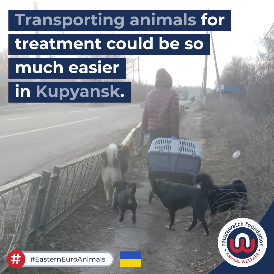 🇺🇦 Victoria, our partner in Kupyansk, bravely transports animals any way she can, but we want to help. We're co-funding a vehicle for her NGO, Promyn Myloserdia, so they can rescue more animals and prevent more unwanted litters. Watch out for updates soon! #EasternEuroAnimals