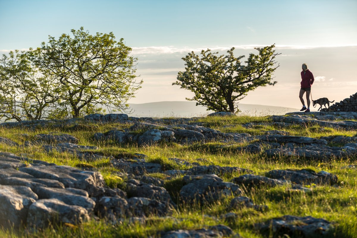 May is National Walking Month. Walking is great for both your physical and mental wellbeing, so starting next week we'll sharing one of our favourite Dales walks that you can do at your leisure. 

📸 Paul Harris | #YorkshireDales #NationalWalkingMonth