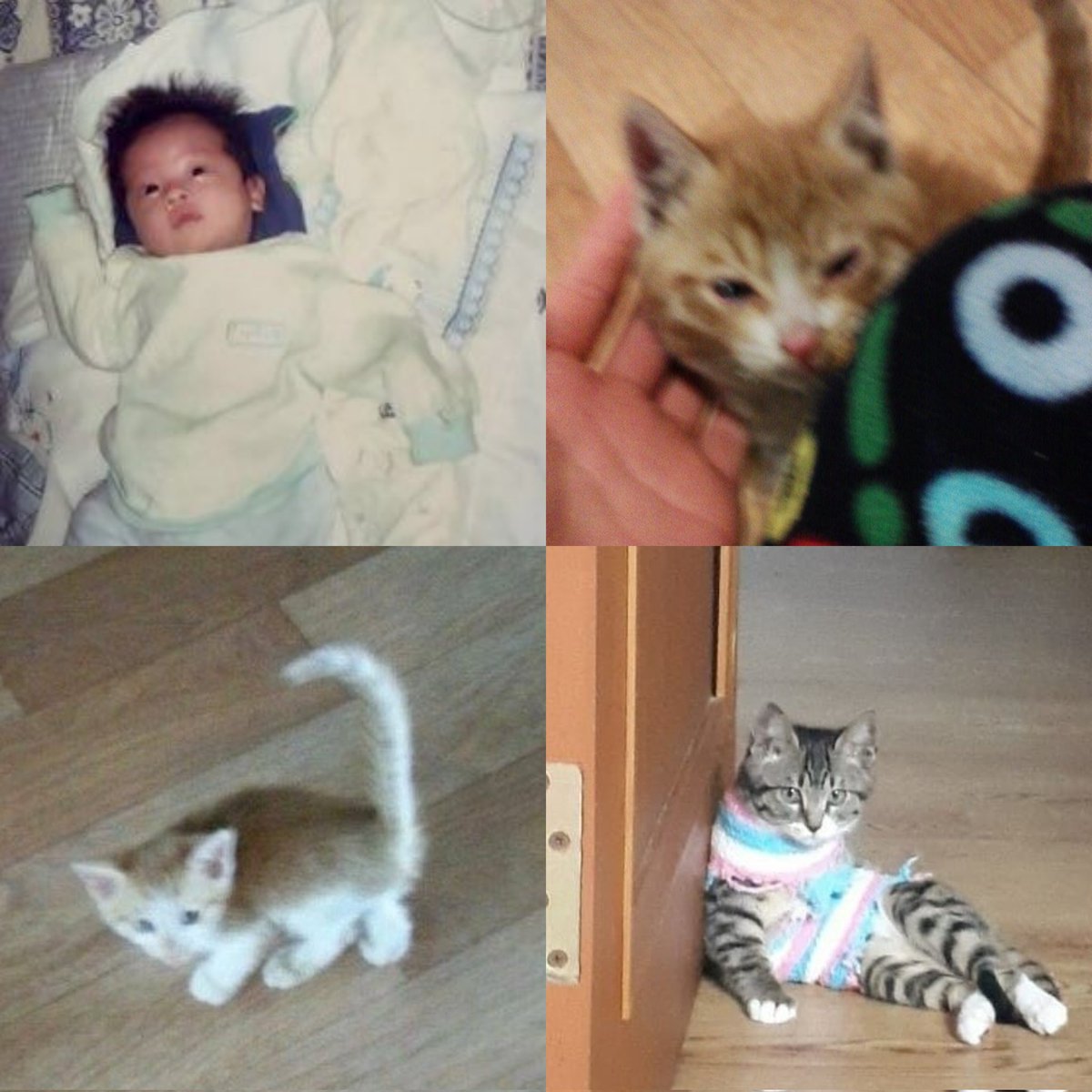 now that minho sent baby pics of soonie the lee brothers baby picture collection is complete 😭😭🫶🏼 they can all fit in my palm