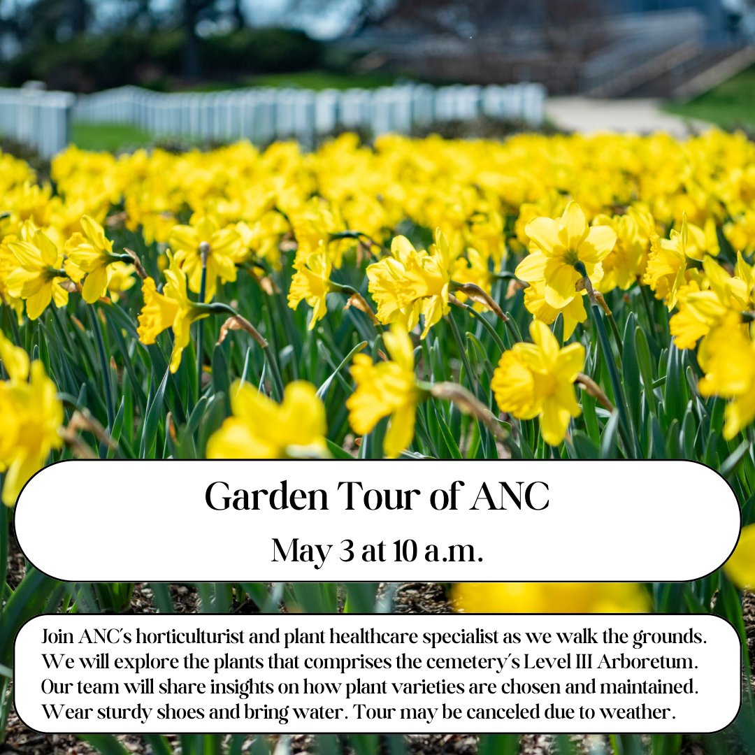 Join us tomorrow, May 3, at 10 a.m. for our Spring Garden Tour of ANC! On this tour, you will gain insight into the ANC horticulture program and learn about how plants are chosen and maintained. Learn more ⬇️ arlingtoncemetery.mil/Media/News/Pos…