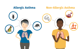 Up to 60% of adults & 80% of kids with asthma also have allergies that trigger their asthma - also known as allergic asthma. Reduce triggers: wash bedding weekly, vacuum frequently, keep pets off of beds, and use protective covers on pillows.