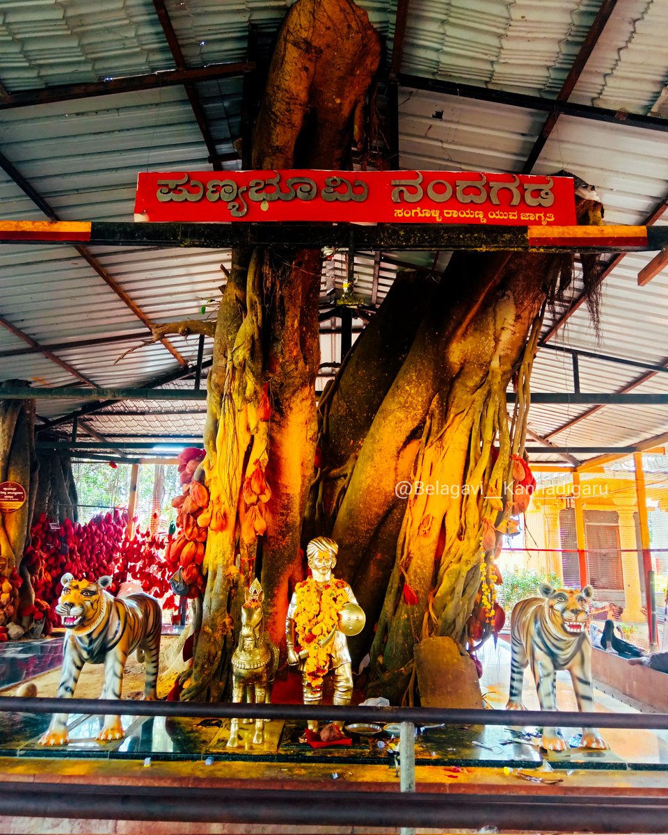 ಶ್ರೀ ಕ್ರಾಂತಿ ವೀರ ಸಂಗೊಳ್ಳಿ ರಾಯಣ್ಣ  ಪುಣ್ಯಭೂಮಿನಂದಗಡ, ಬೆಳಗಾವಿ 🙏🏻❤️
#BelagaviBK